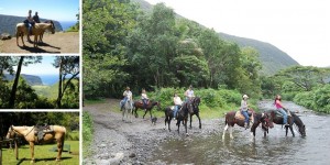 Waipio Ridge Stables