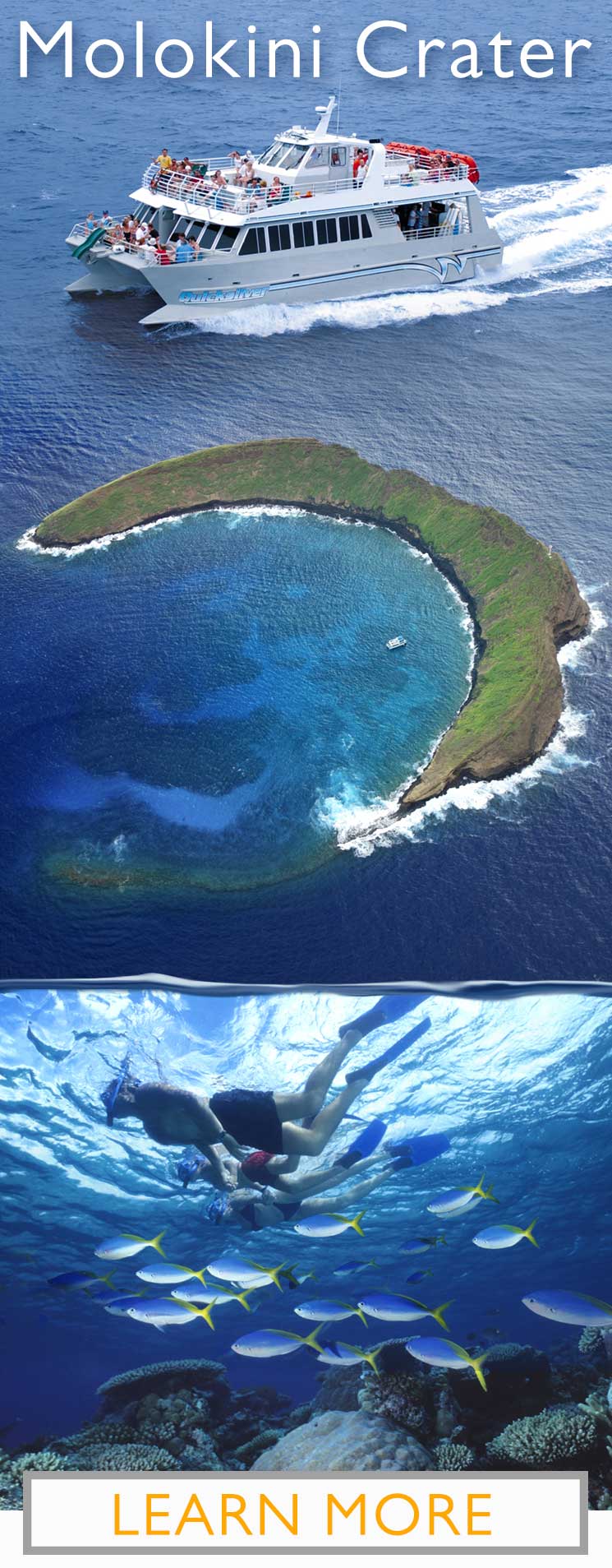 Molokini Crater Snorkeling Tour