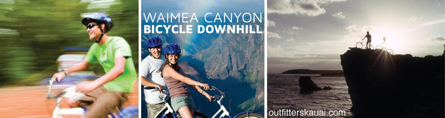 Waimea Canyon Bicycle Downhill