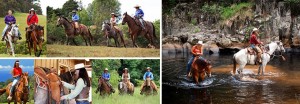 Two Hour Country Horseback Ride – Piiholo Ranch