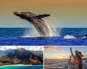 Holo-Holo Kauai Boat Tours