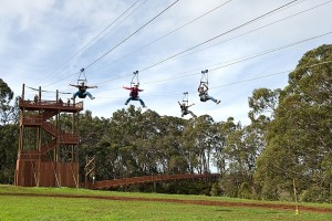 Piiholo Ranch Zipline