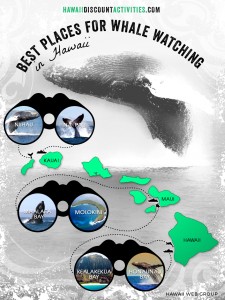best places for whale watching on maui