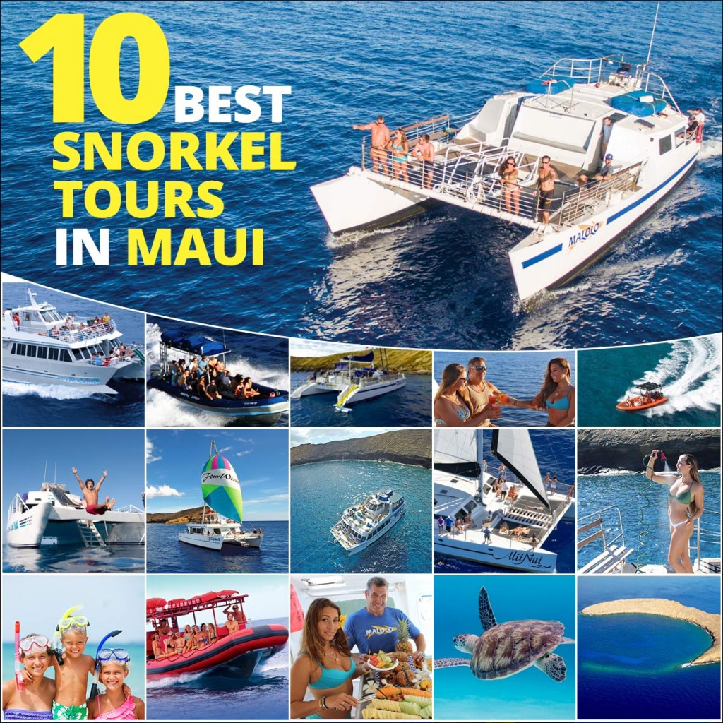 10 BEST SNORKEL TOURS IN MAUI